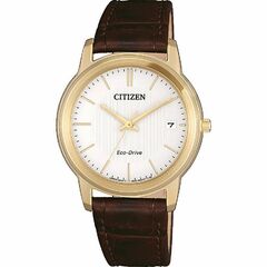 Citizen FE6012-11A - Eco-Drive Ladies