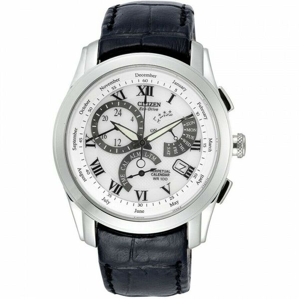 Citizen BL8000-03A - Eco-Drive Perpetual Calendar