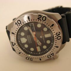 Citizen NY0054-04E - Promaster