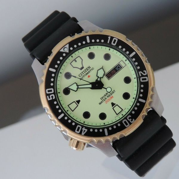 Citizen NY0046-02W - Promaster