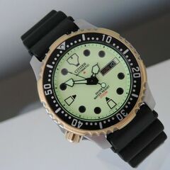 Citizen NY0046-02W - Promaster