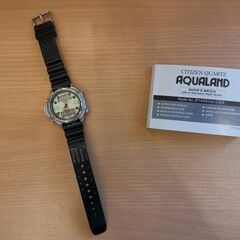 Citizen JP1010-00W - Promaster Aqualand