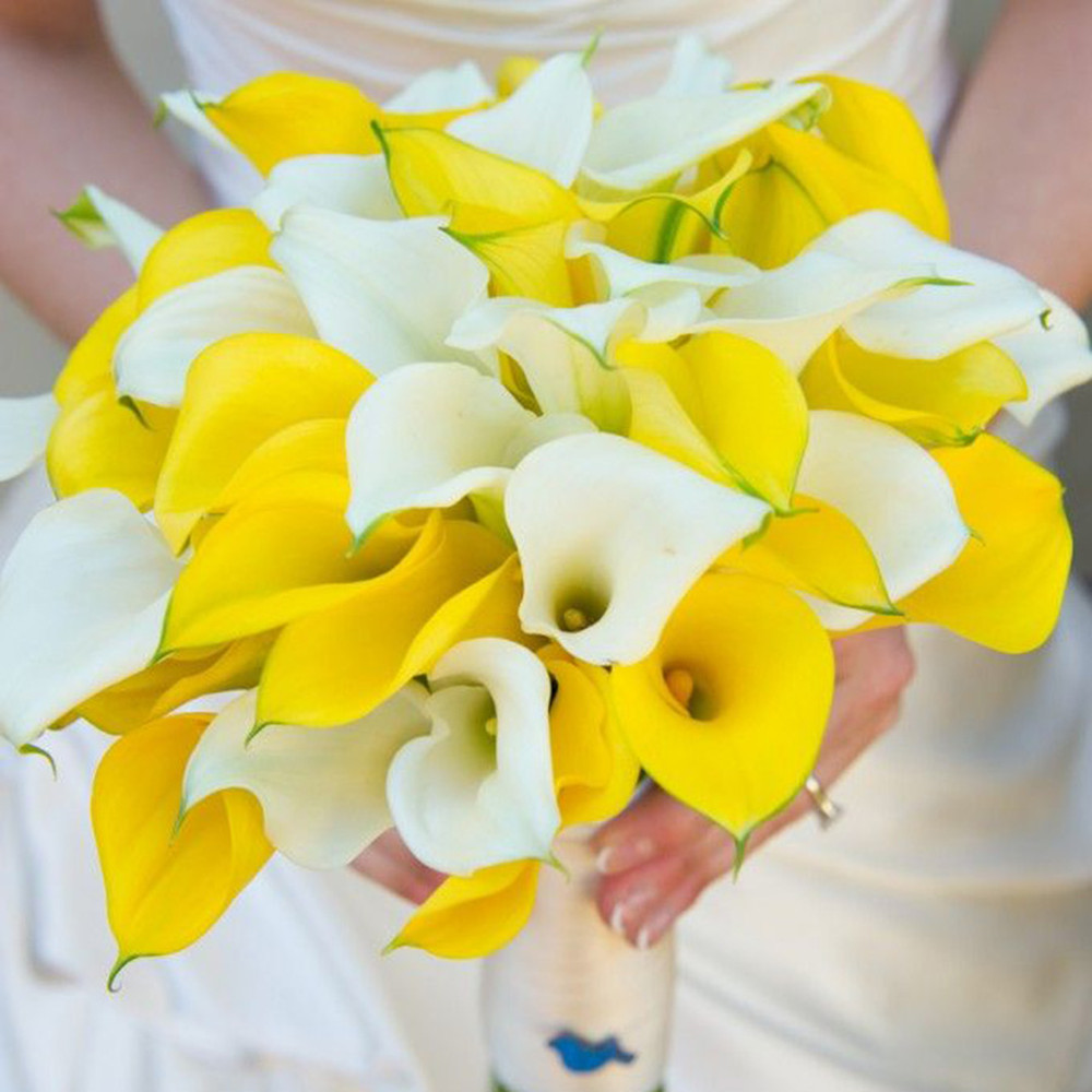 Calla Lily Bulbs - Yellow & White Mix