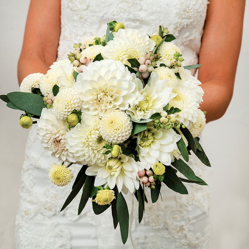 Dahlia Bulbs - White Mix