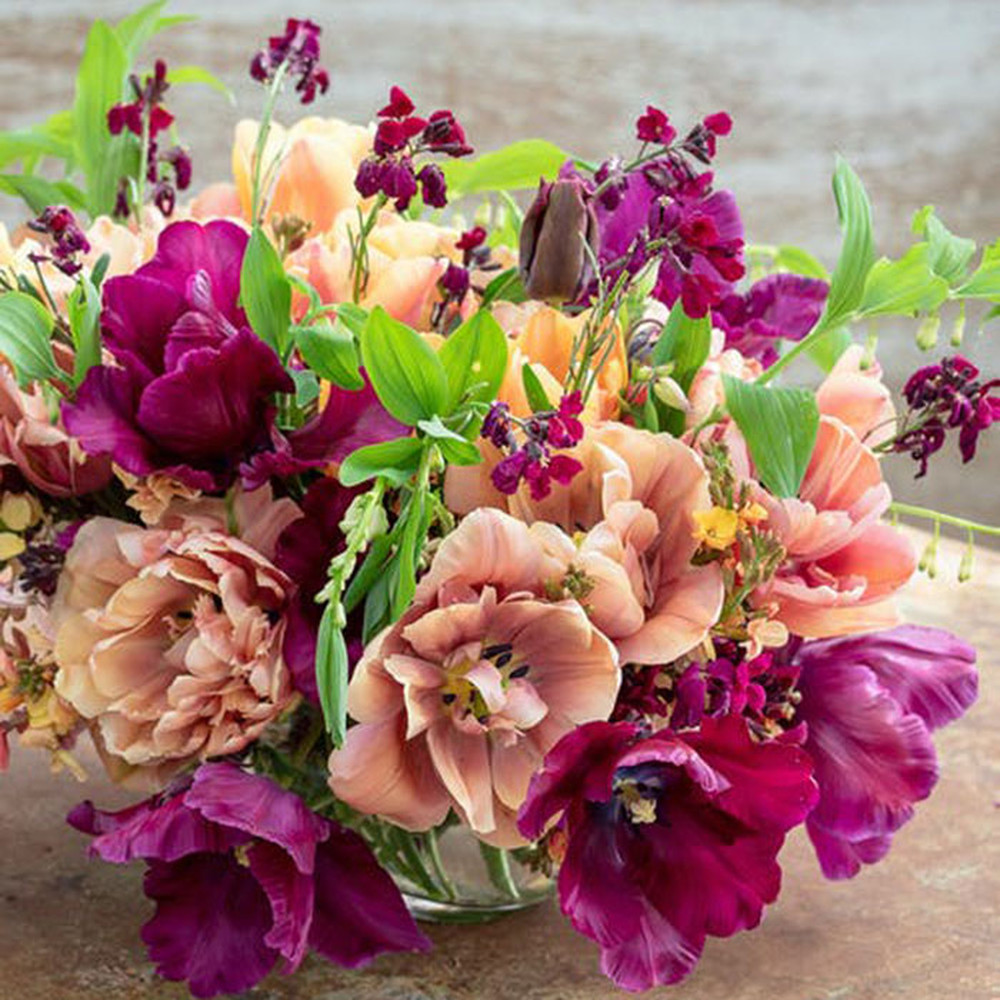 Tulip Bulbs - Ophelias Garden Mix