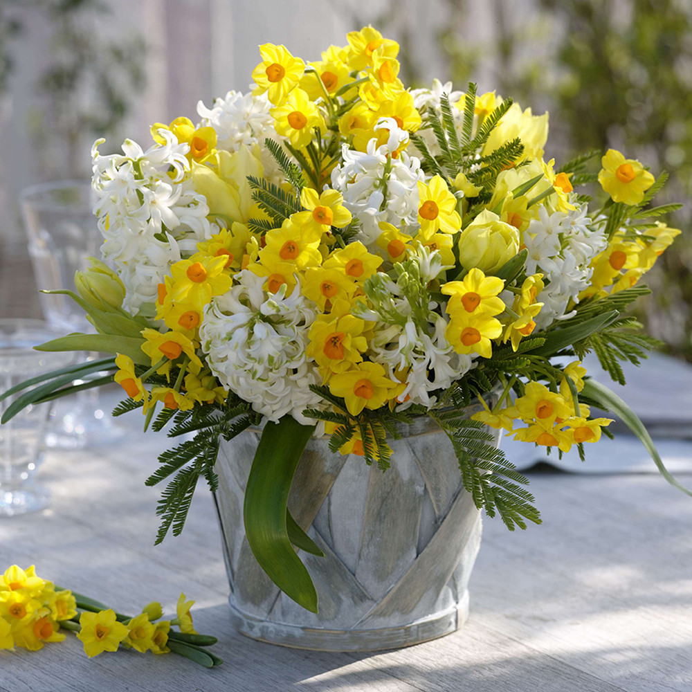 Fragrant Spring Blooms Collection (Fall-Planted)