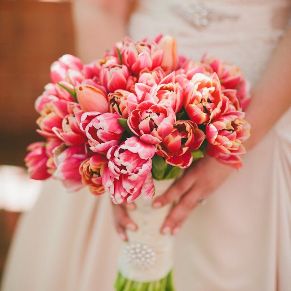 Tulip Bulbs - Bridal Bouquet