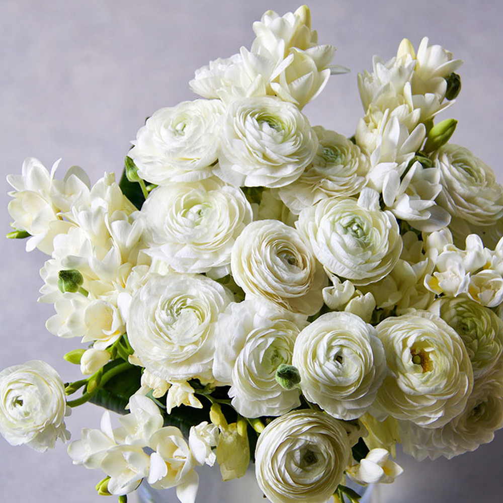 Ranunculus & Freesia Bulbs (Fall-Planted) - White Mix