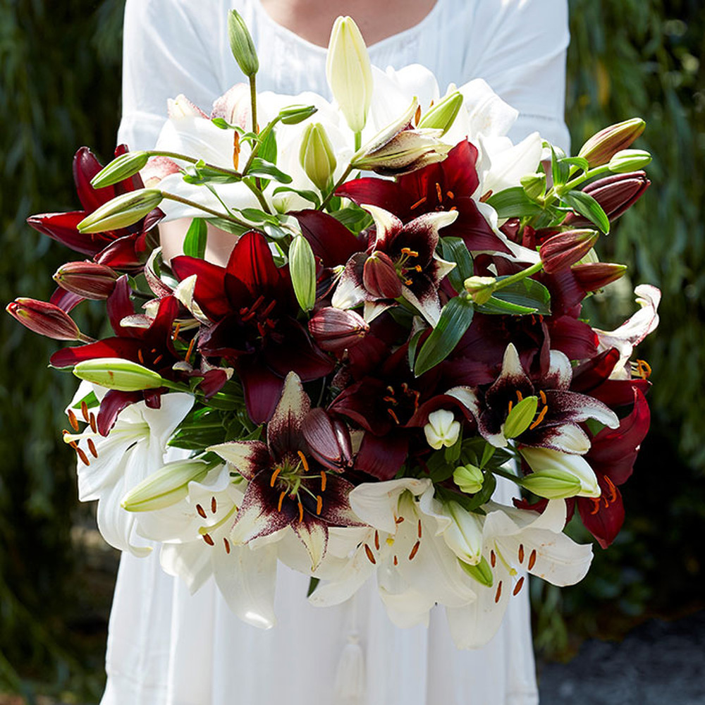 Lily Bulbs (Spring-Planted) - Black & White Mix