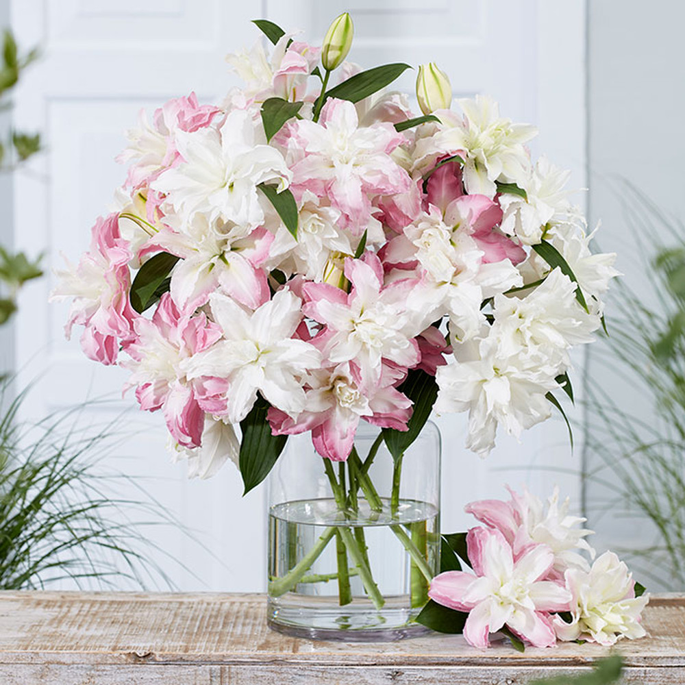 Lily Bulbs (Spring-Planted) - Double Romantic Mix