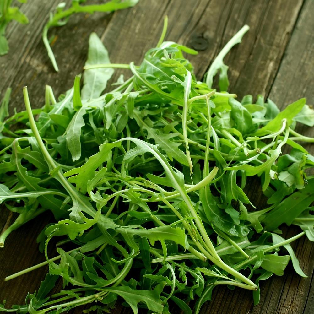 Arugula Seeds - Wild Rocket