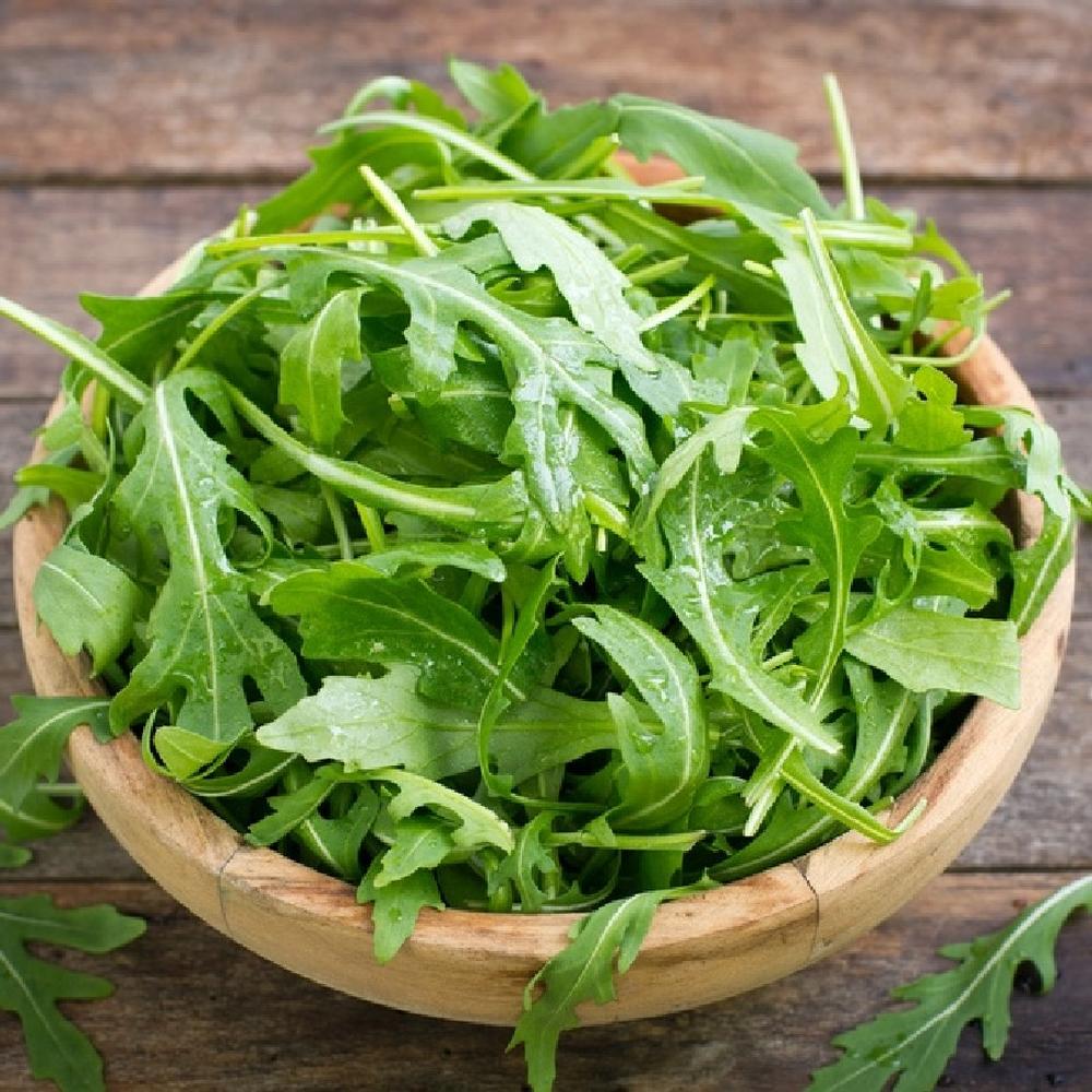 Arugula Seeds (Organic) - Rocket