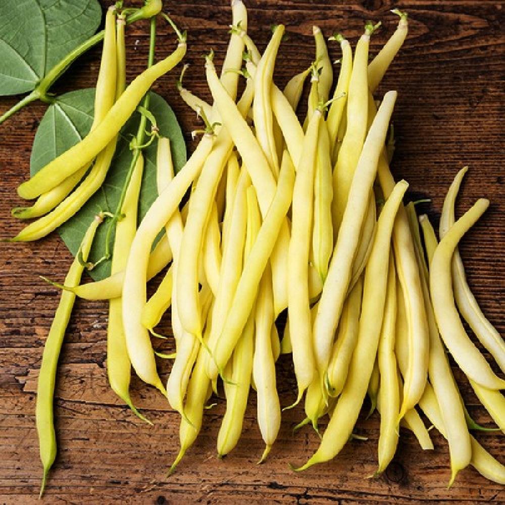 Bean Seeds (Organic) - Golden Wax
