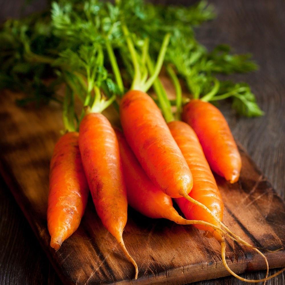 Carrot Seeds - Little Finger