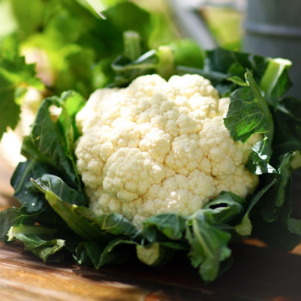 Cauliflower Seeds - Snowball Y Improved