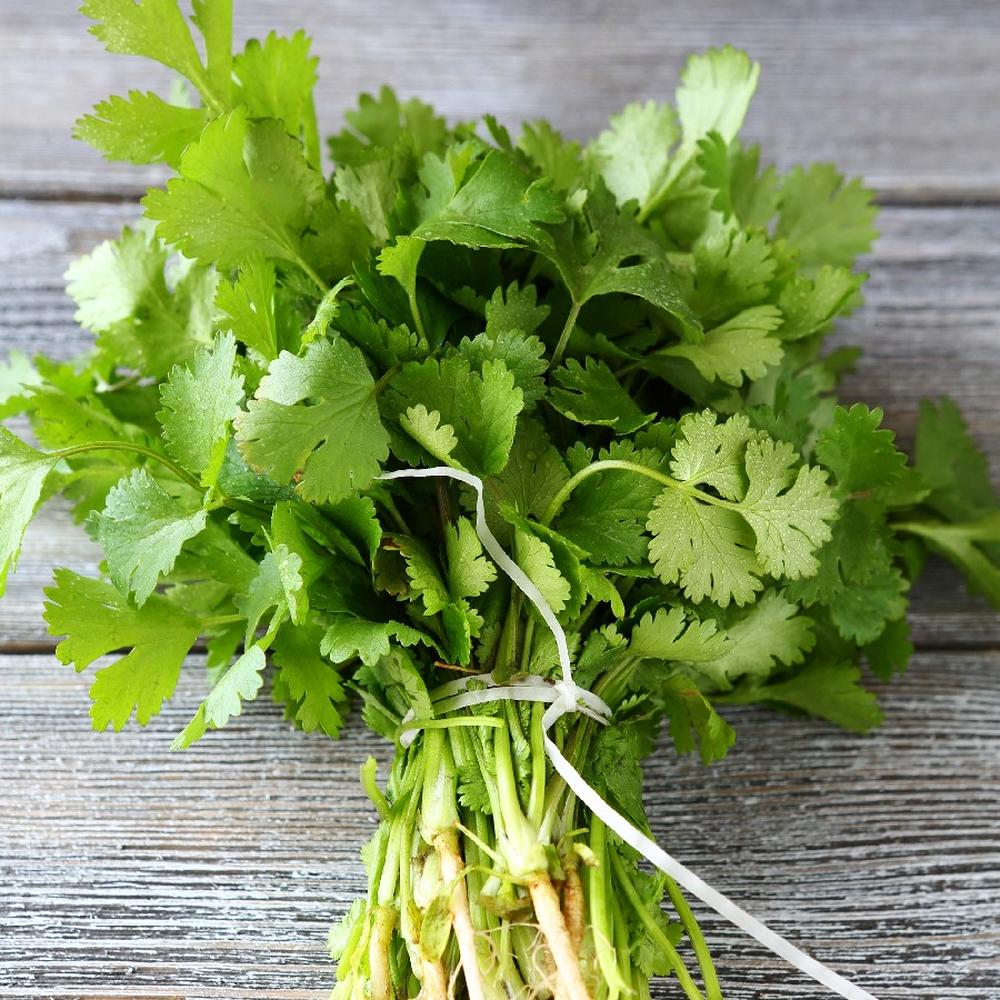 Cilantro/Coriander Seeds