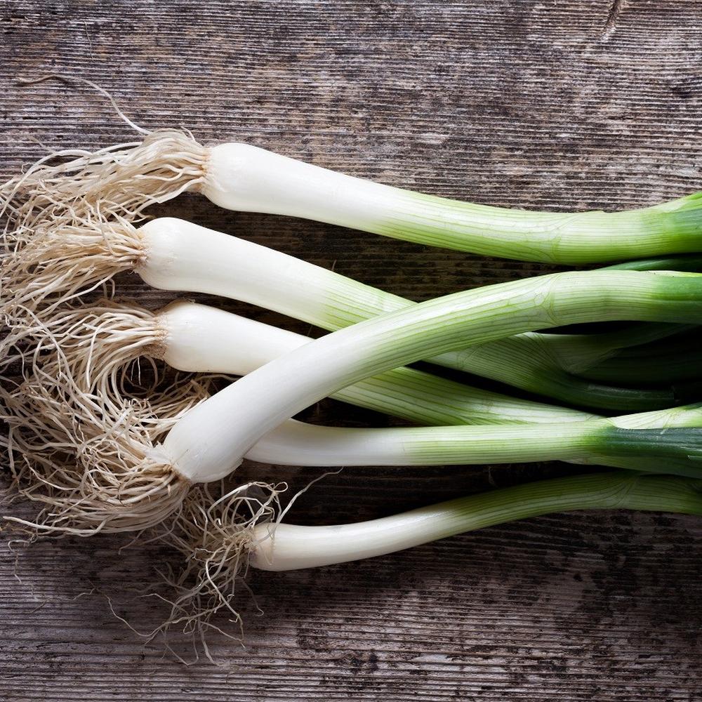 Onion Seeds (Bunching) - Heshiko