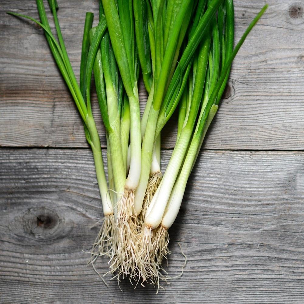 Onion Seeds (Bunching) - White Lisbon