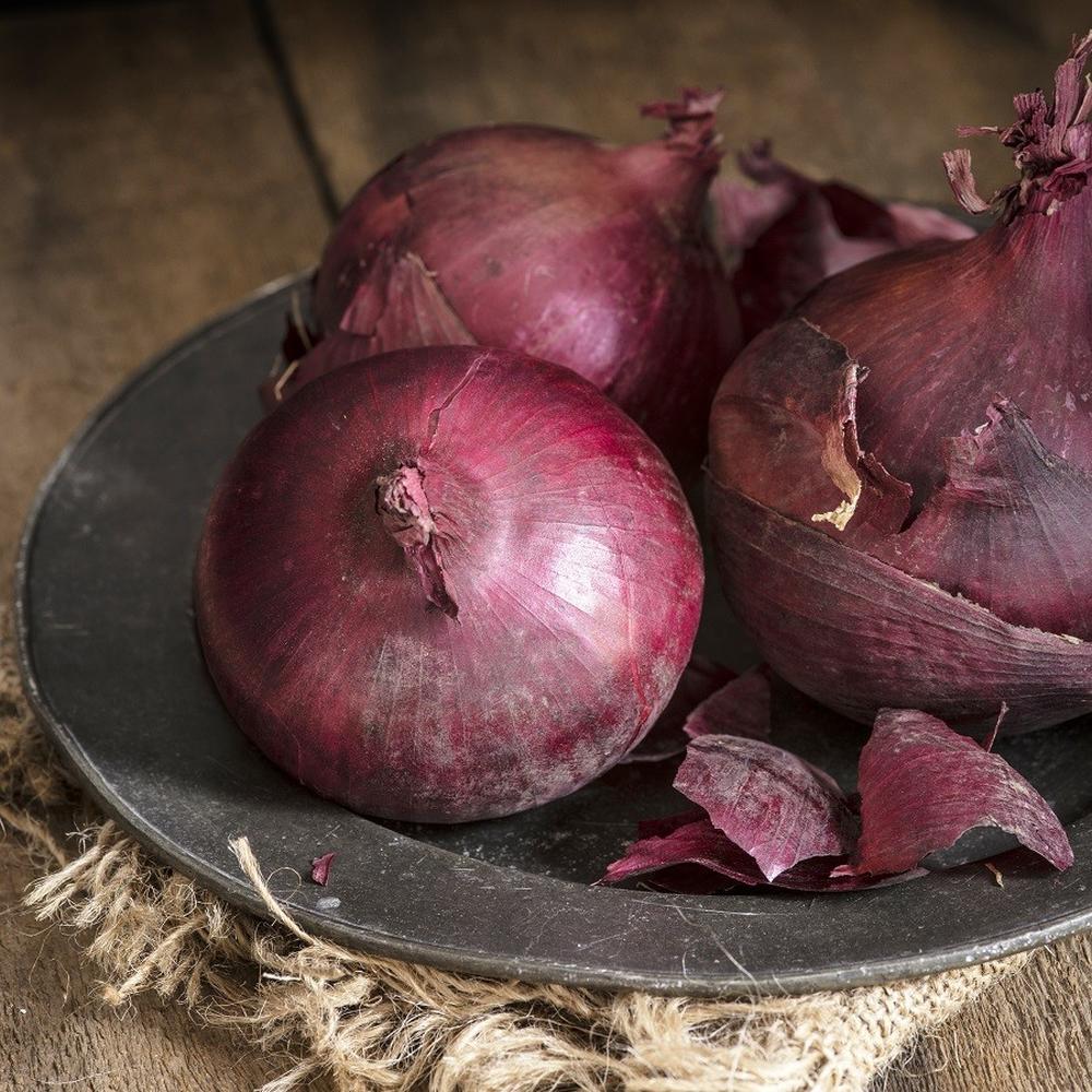 Onion Seeds (Long Day) - Ruby Red