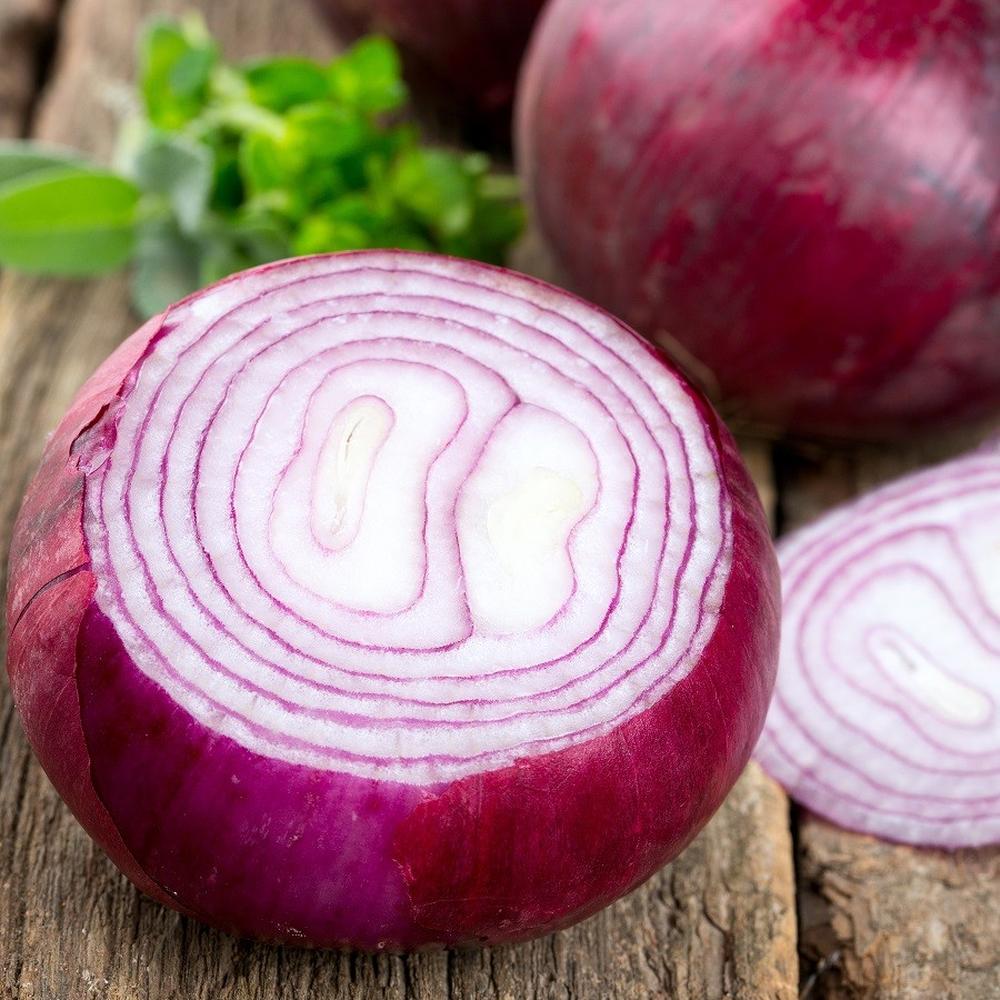 Onion Seeds (Short Day) - Red Grano