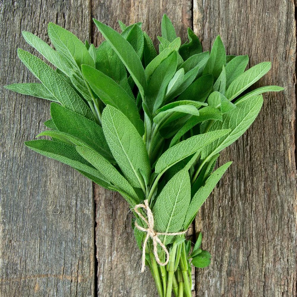 Sage Seeds