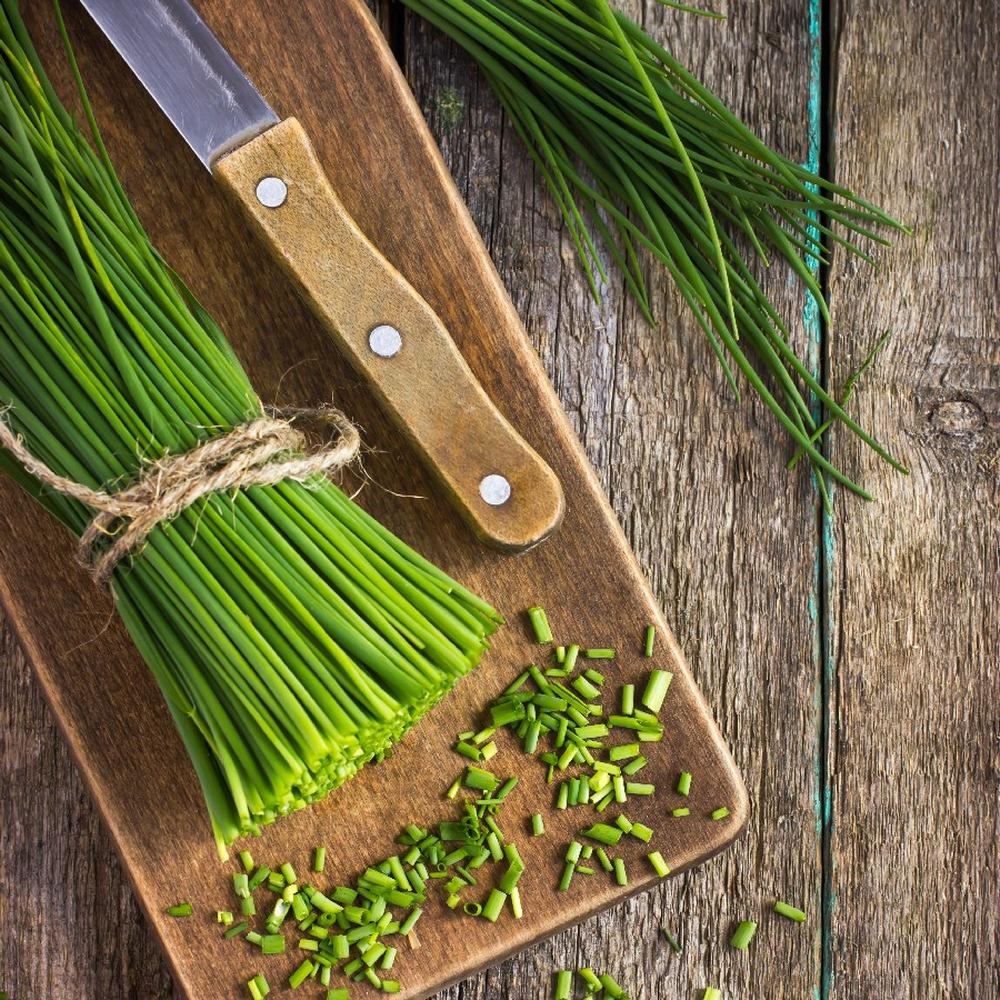 Chives Seeds (Organic)