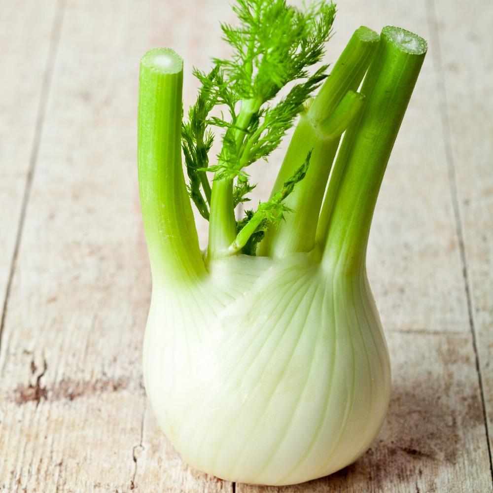 Fennel Seeds (Organic) - Florence