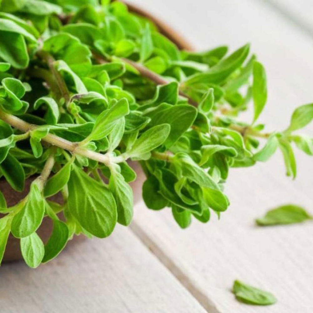 Marjoram Seeds - Sweet