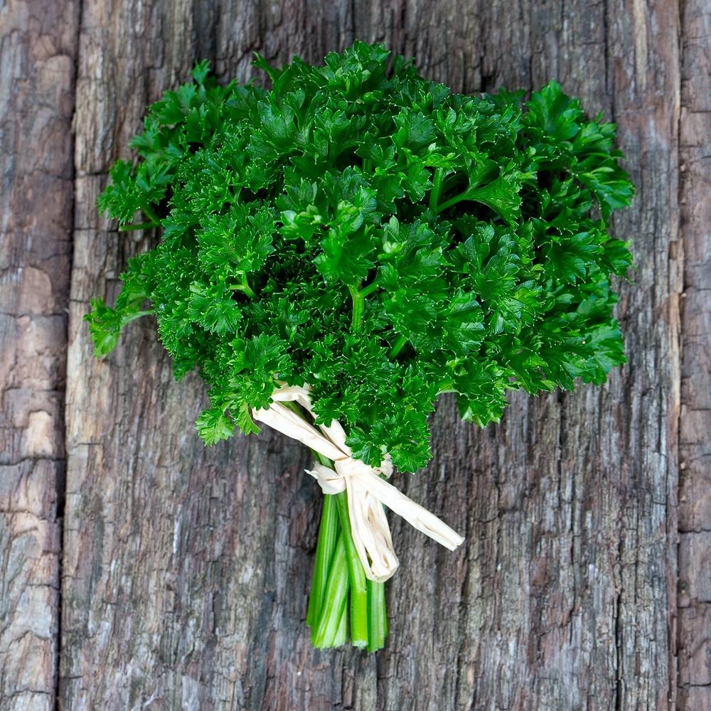 Parsley Seeds - Curled