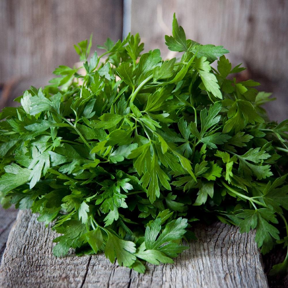 Parsley Seeds (Organic) - Italian