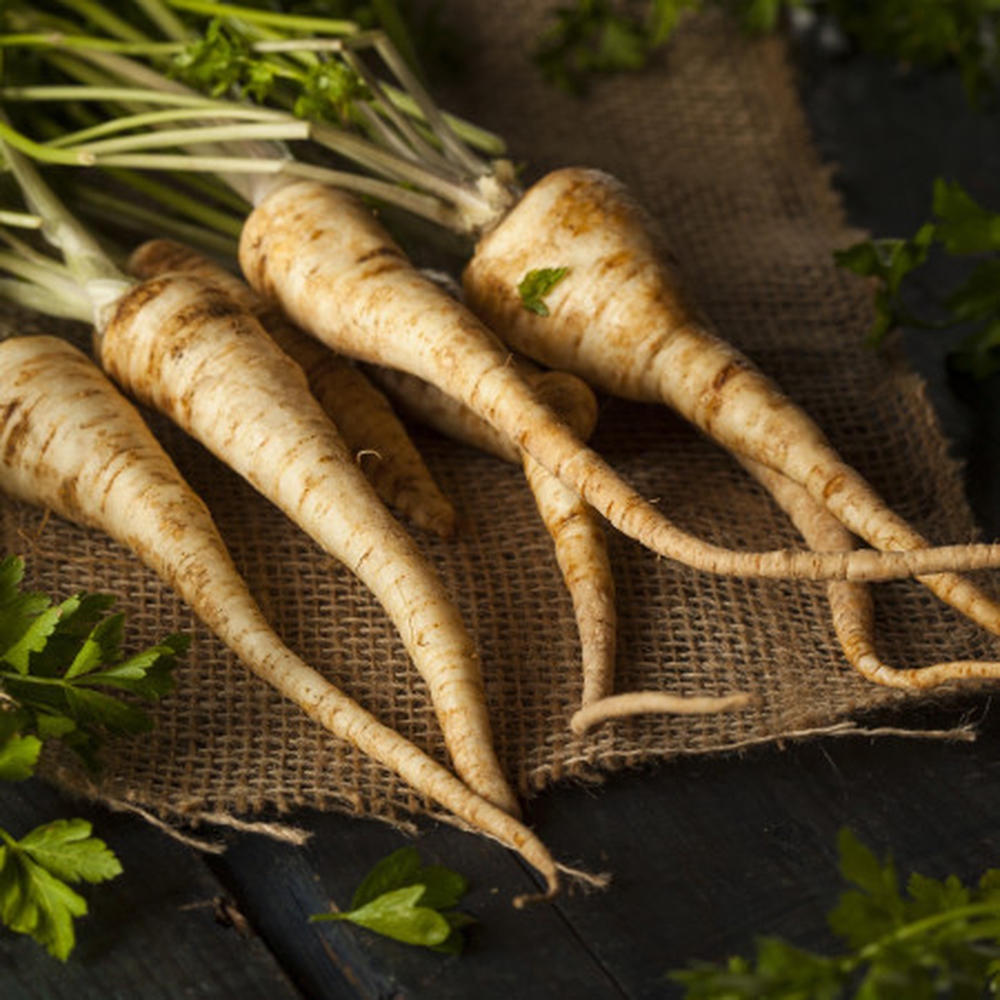 Parsley Seeds - Hamburg Rooted