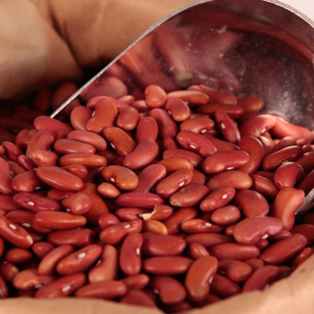 Bean Seeds (Organic) - Light Red Kidney