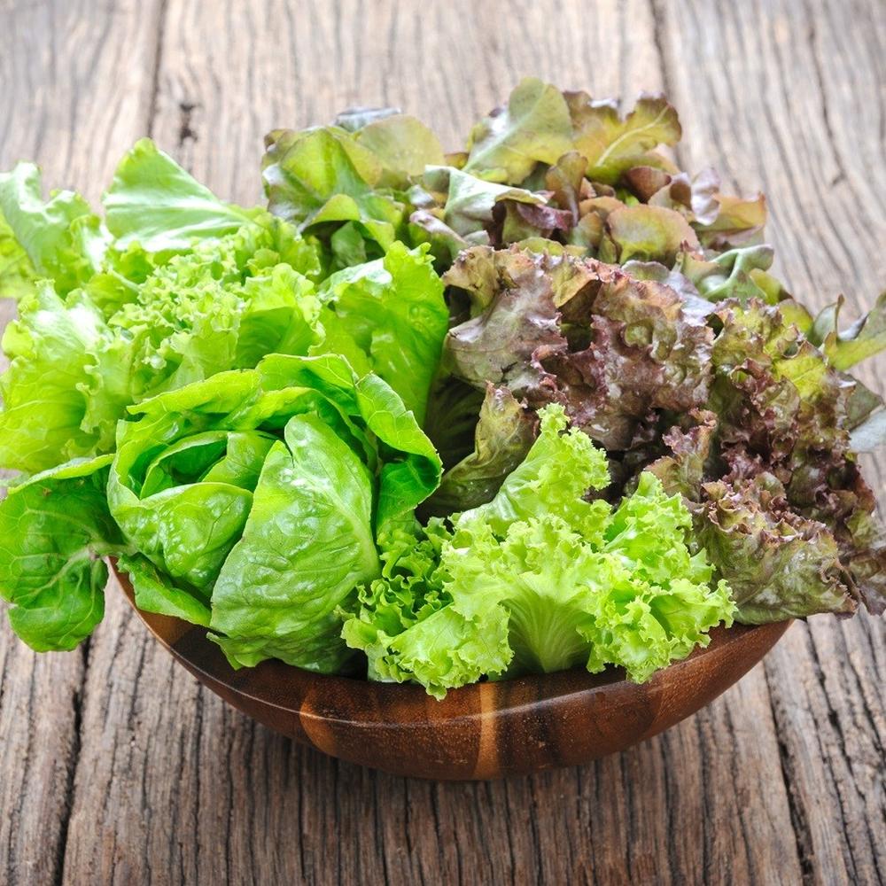Lettuce Seeds (Organic) - Mesclun Mix