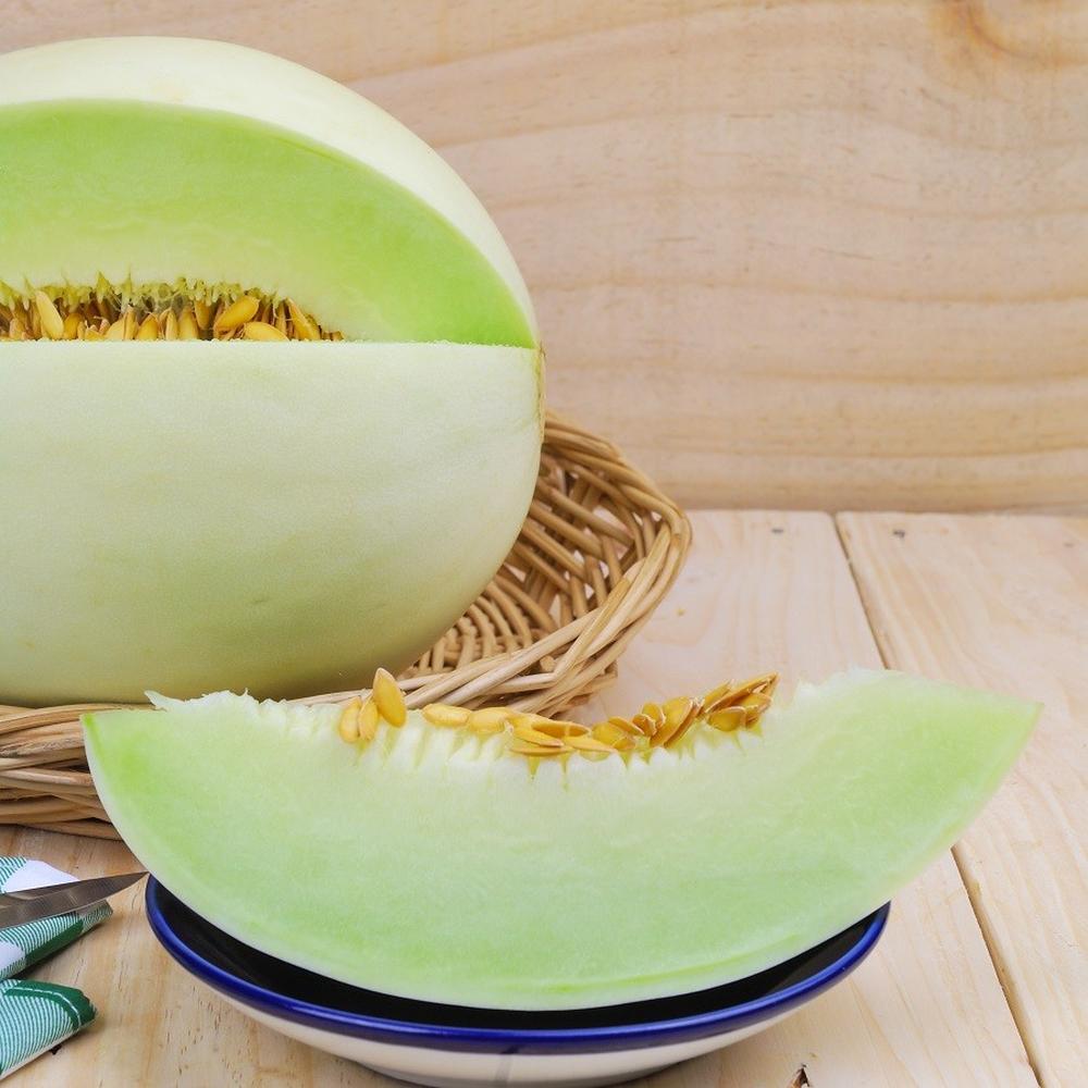 Melon Seeds (Organic) - Honeydew Green