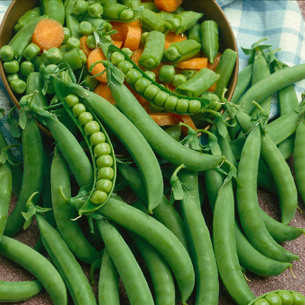 Pea Seeds (Organic) - Green Arrow