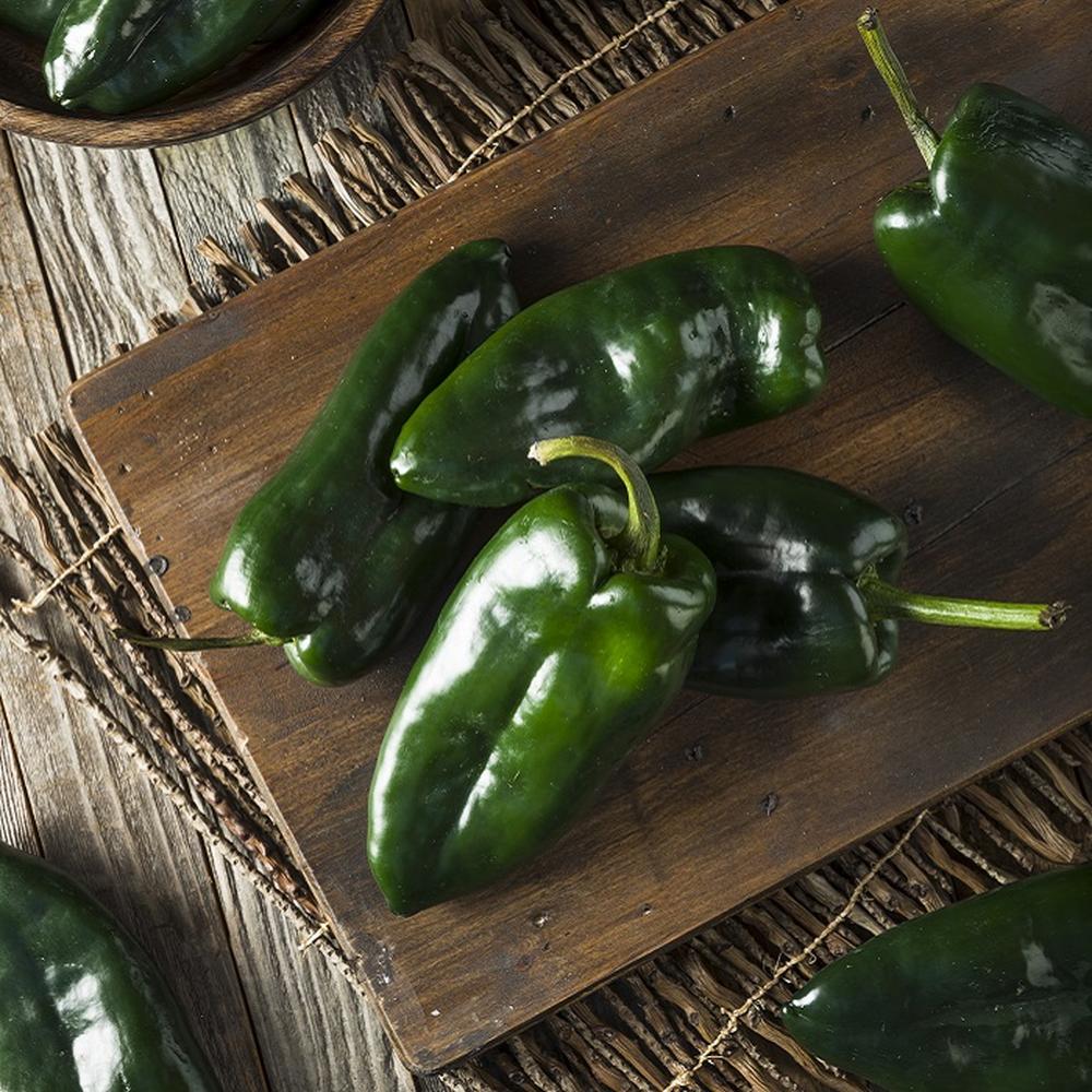 Hot Pepper Seeds (Organic) - Ancho Poblano