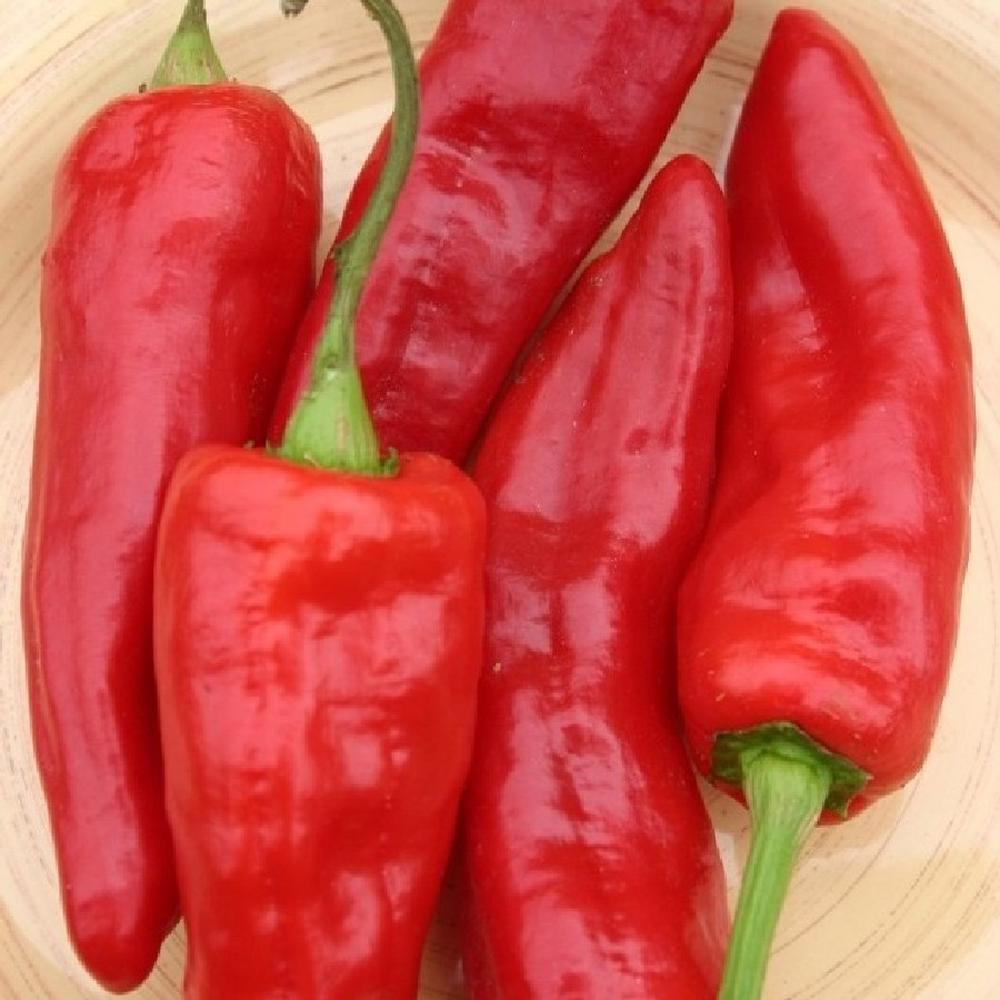 Sweet Pepper Seeds (Organic) - Marconi Red