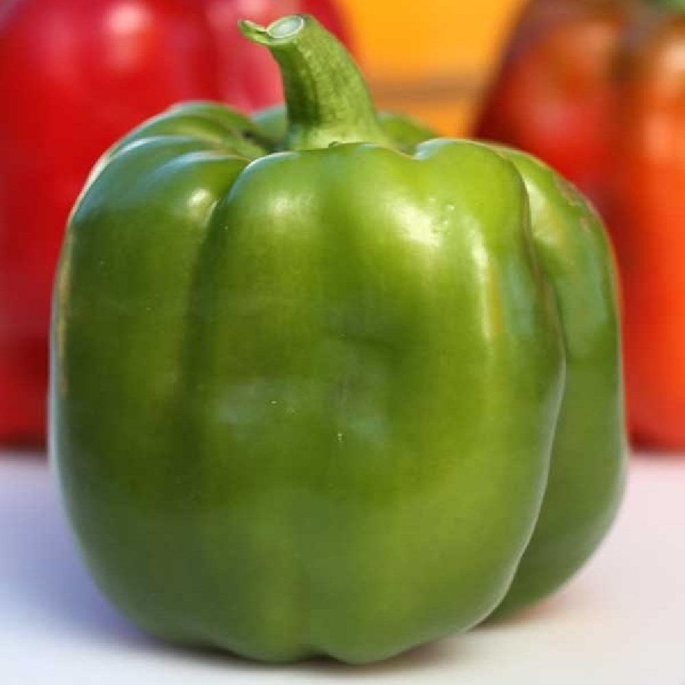Sweet Pepper Seeds (Organic) - Emerald Giant