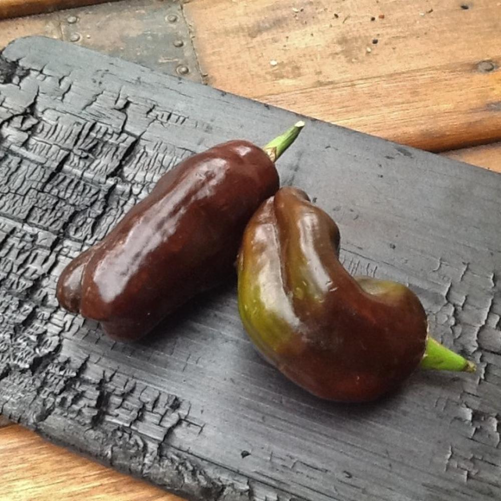 Sweet Pepper Seeds (Organic) - Sweet Chocolate