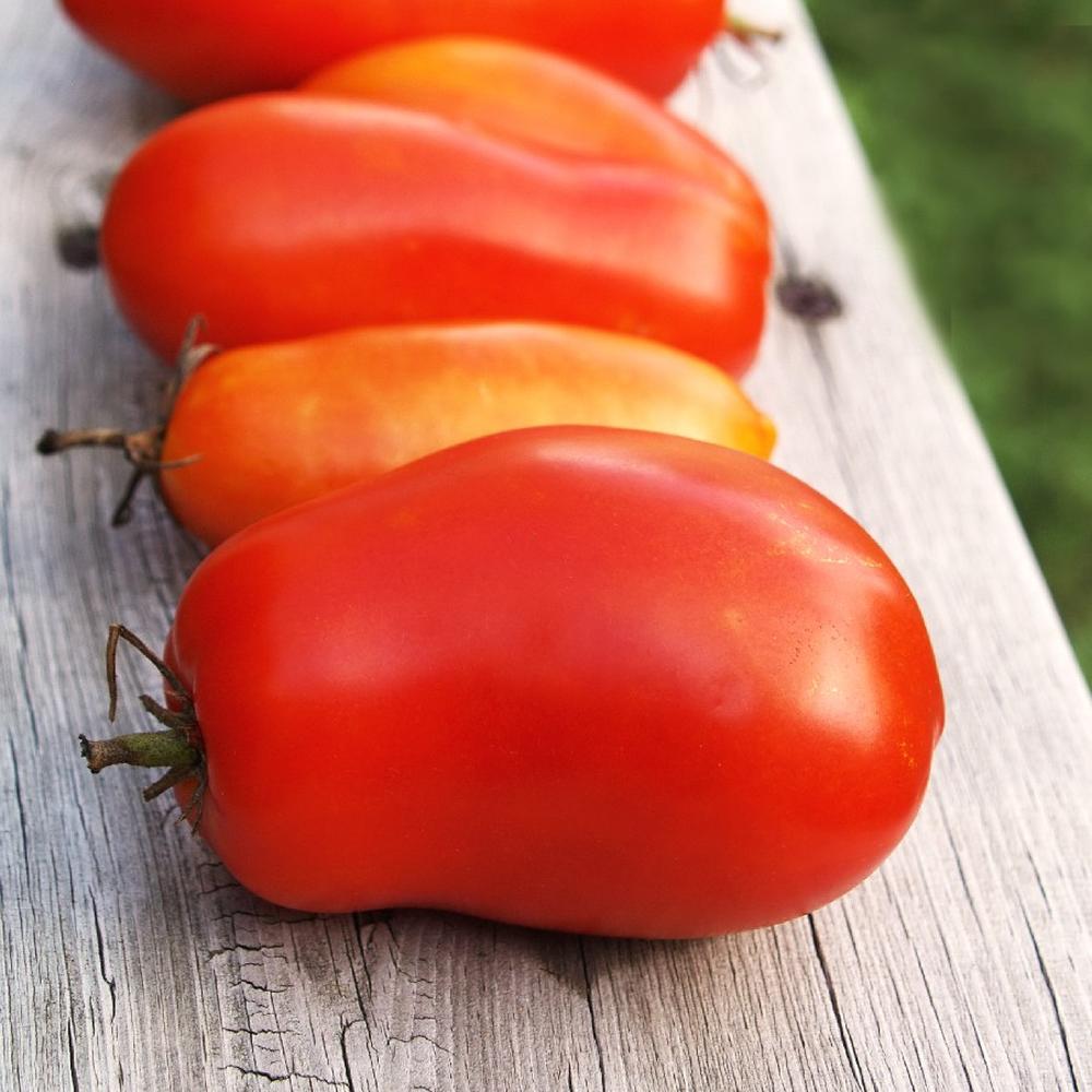 Tomato Seeds (Organic) - Roma