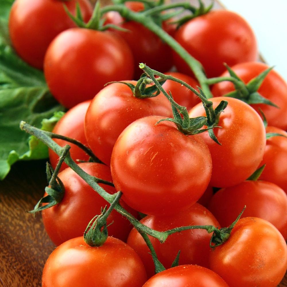 Tomato Seeds (Organic) - Red Cherry - Large