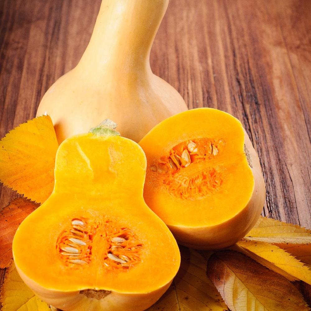 Squash Seeds (Organic) - Waltham Butternut