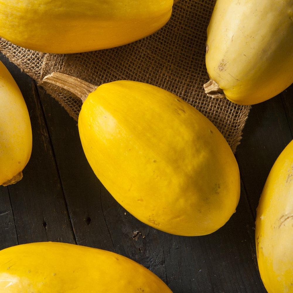 Squash Seeds (Organic) - Vegetable Spaghetti