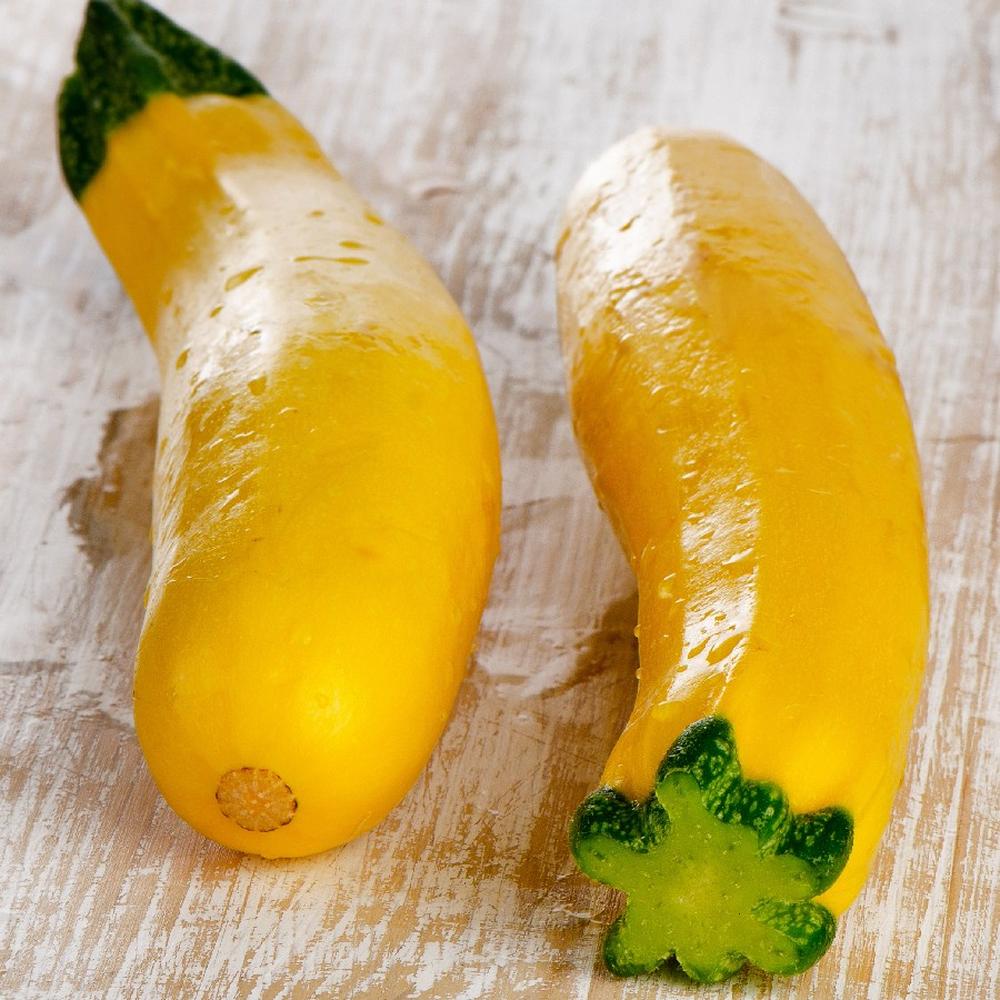 Squash Seeds (Organic) - Early Prolific Straightneck