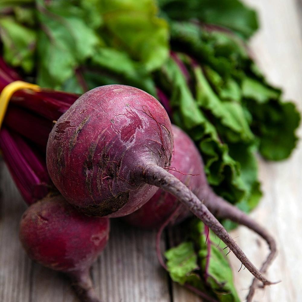 Beet Seeds (Organic) - Detroit Dark Red