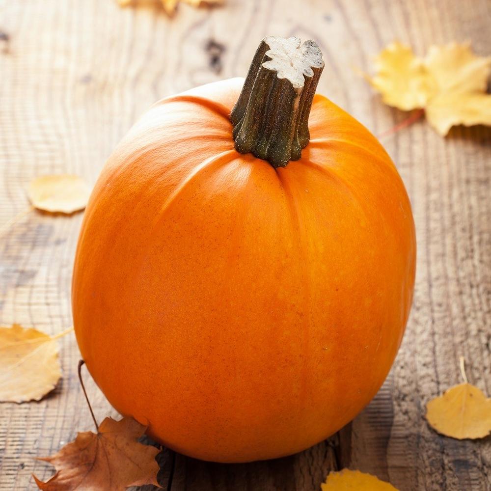 Pumpkin Seeds (Organic) - Small Sugar