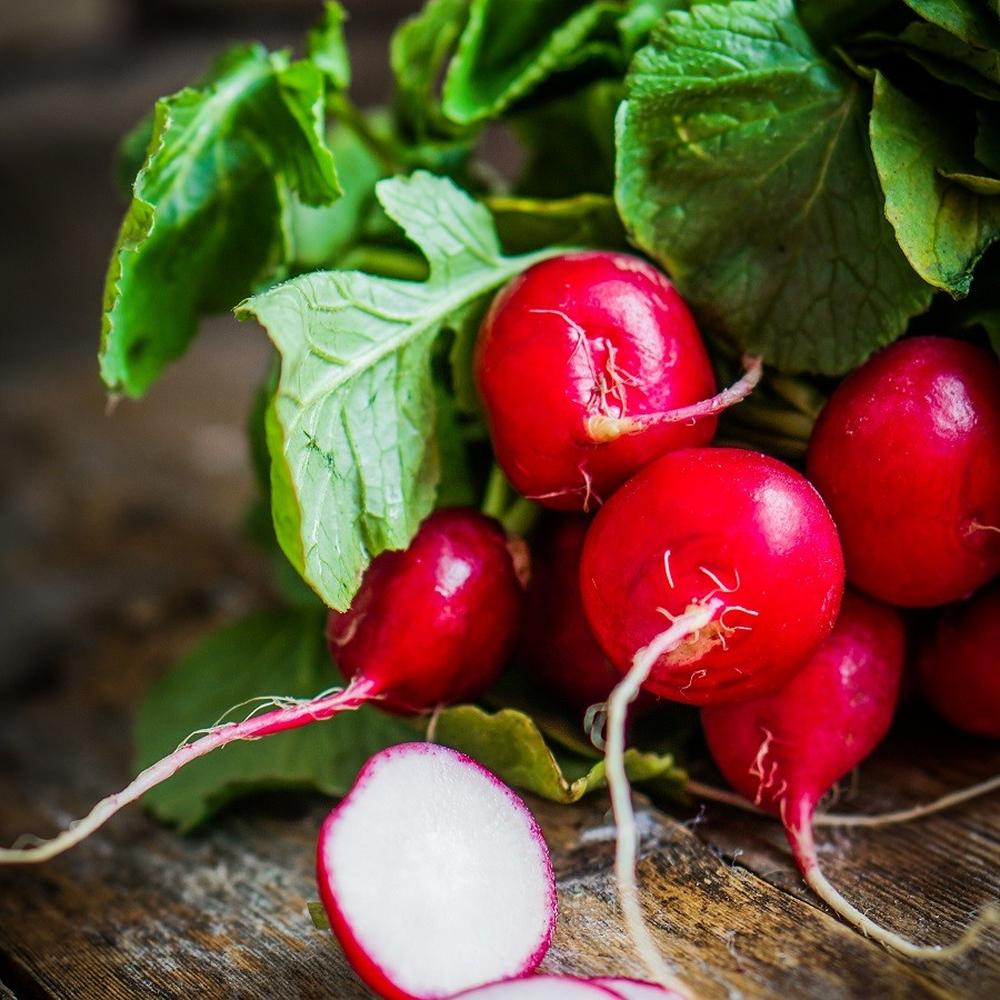 Radish Seeds (Organic) - Cherry Belle
