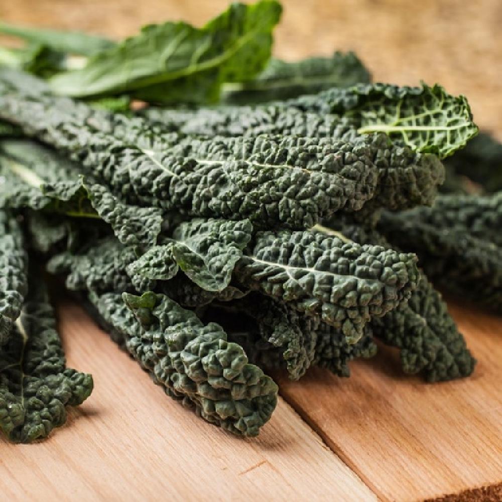 Kale Seeds (Organic) - Lacinato