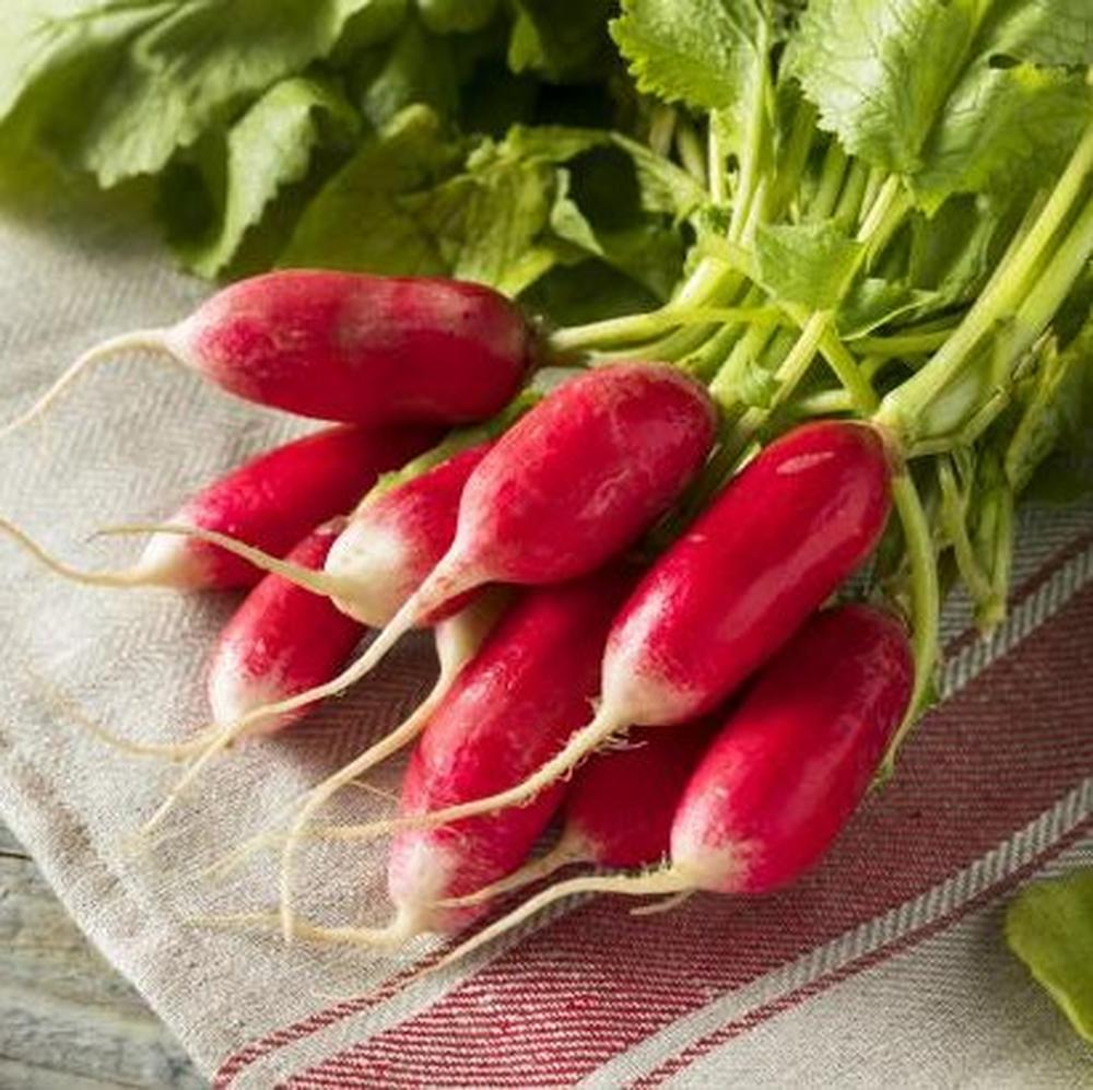 Radish Seeds (Organic) - French Breakfast