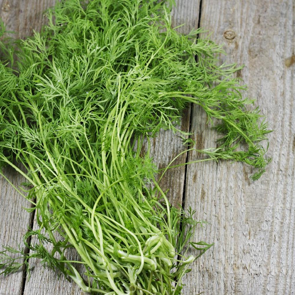 Dill Seeds (Organic) - Bouquet